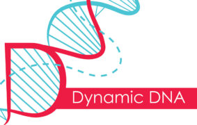 Rank Dynamic DNA